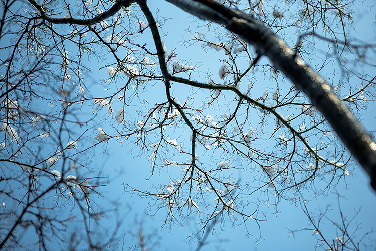 frame
