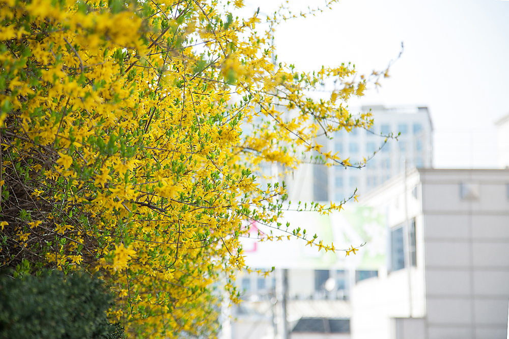 frame