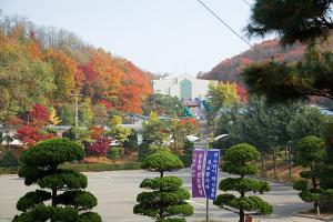  평강동산의 단풍