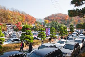  셋째주 주일 교회 둘러보기 (추수감사절)