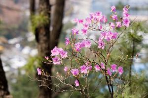  주일 교회둘러보기