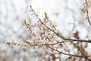  교회 풍경