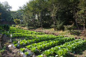  주일 교회 둘러보기