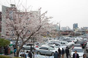  주일 교회 둘러보기