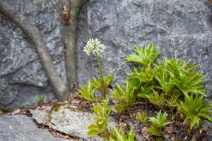  주일 교회 둘러보기(부활절)