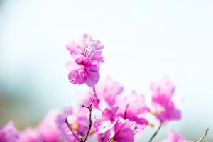  주일 둘러보기