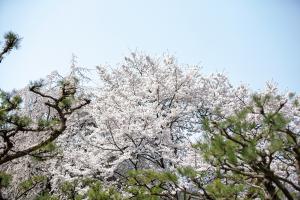  주일 2부예배
