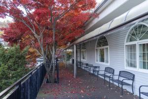  교회 가을 둘러보기