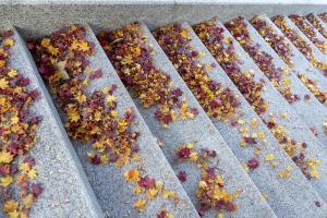  교회 가을 둘러보기