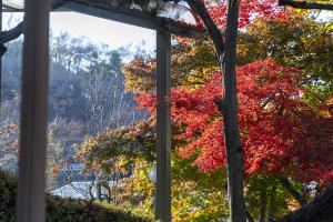  교회 가을 둘러보기