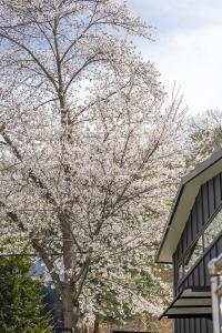  주일 부활절 세례예식