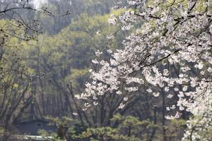  주일 부활절 세례예식